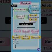 Mutation Summary In One Minute