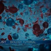 Stardust Biology Tutorial