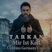 Tarkan Üşüdüm Mir Ist Kalt Almanca Yeni AI Cover