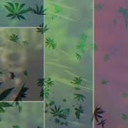 Berner B Real House Titles Feat Demrick Visualizer