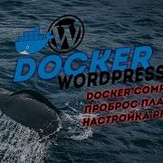 Docker Compose Wordpress Expand The Container For Developing Plugins And Themes
