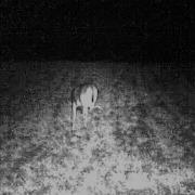10 Point On Magic Plot