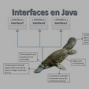Programación Orientada A Objetos En Java 5 Interfaces Clase Presencial