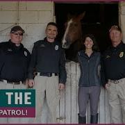 Riding A Tennessee Walking Horse In Tennessee
