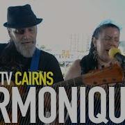 HARMONIQUE THAT BIRD BalconyTV