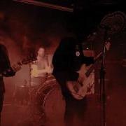 Usnea Live A Crown Of Desolation At The High Water Mark