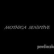 MOTHICA Sensitive Lyrics
