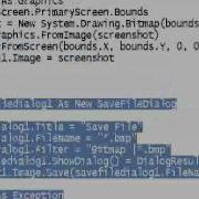 How To Make Screen Capture In Visual Basic 2008