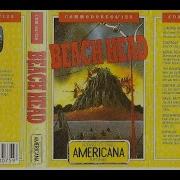 Beach Head Product Review For The Commodore 64