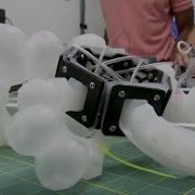 Life At The Lab Soft Robots