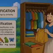 What Is Classification Easy To Understand