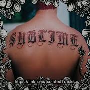 Sublime Wrong Way Vocals Only