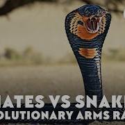 Primates Vs Snakes An Evolutionary Arms Race