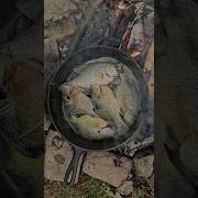 Catch And Cook Crappie And Bluegill