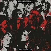 Self Destruct