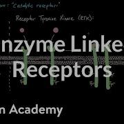 Enzyme Linked Receptors Nervous System Physiology NCLEX RN Khan Academy