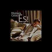 Mustafa Ceceli Es Filter Enstrumental