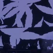 Boogie T Flava Live Lost Lands 2018