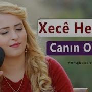 Xecê Herdem Canın Olayım Akustik