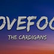 The Cardigans Lovefool Lyrics
