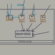 Введение в лабораторную среду Oracle 19c Grid Infrastructure и RAC