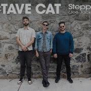 Octave Cat Steppin Out Joe Jackson Cover Live In Studio
