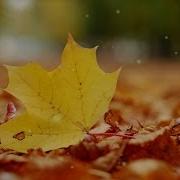 Yao Si Ting Betrayal English Version With Lyrics RelaxingWorld