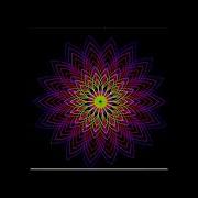 Flower Graphics Using Python CODING 4 BEGINNER Python Learning Animations Shots Python