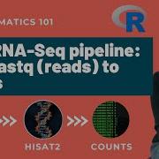 Setup RNA Seq Pipeline From Scratch Fastq Reads To Counts Step By Step Tutorial
