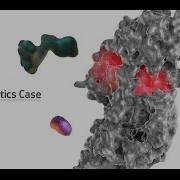 Labster Virtual Lab Enzyme Kinetics Simulation