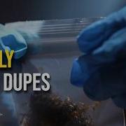 The New Drug Crisis Dupes Designed To Evade Detection Drugs 2 0 Part 1 2