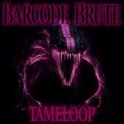 Tameloop Barcode Brute