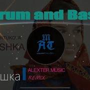 Татьяна Куртукова Матушка Земля ALEXTER Remix DnB Remix матушказемля