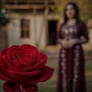 Gula Sor Kurdish Trap Cover Dark Bass Boosted Version