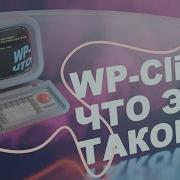 Что такое WP Cli