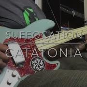 Suffocation Catatonia Bass Cover