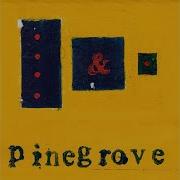 Need 2 Slow Pinegrove