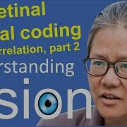 Understanding Vision Book Chap 3 Efficient Coding 17 2 Retinal Spatial Coding Decorreation 2