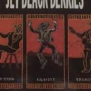 Jet Black Berries Charles Darwin S Dream