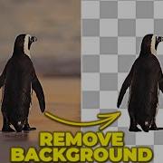 REMOVE BACKGROUND From VIDEO In After Effects Rotobrush Tutorial