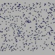The Evolution Of The Random Geometric Graph