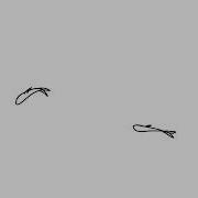 Rough Animator Test