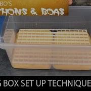 Python Egg Box Setup A New Look Palumbospythons Boas