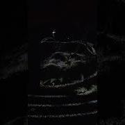 Visual Representation Of Echolocation By Bats