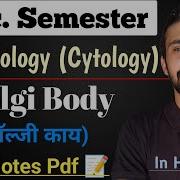 Golgi Body Structure And Function Bsc Semester Cell Biology By Dadhich Sir
