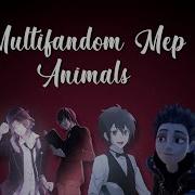 Multifandom Mep Animals