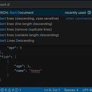 VS Code Tips Sorting JSON Documents