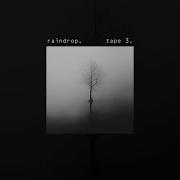 Raindrop Tape 3