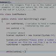 Java Tutorial 13 While Loop