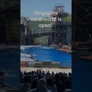 Jetski Chase Scene Marnier Stunts Jetski Swimmingpool Waterworld